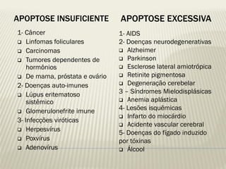 APOPTOSE INSUFICIENTE 
1- Câncer 
Linfomas foliculares 
Carcinomas 
Tumores dependentes de hormônios 
De mama, próstata e ovário 
2- Doenças auto-imunes 
Lúpus eritematoso sistêmico 
Glomerulonefrite imune 
3- Infecções viróticas 
Herpesvírus 
Poxvírus 
Adenovírus 
APOPTOSE EXCESSIVA 
1- AIDS 
2- Doenças neurodegenerativas 
Alzheimer 
Parkinson 
Esclerose lateral amiotrópica 
Retinite pigmentosa 
Degeneração cerebelar 
3 – Síndromes Mielodisplásicas 
Anemia aplástica 
4- Lesões isquêmicas 
Infarto do miocárdio 
Acidente vascular cerebral 
5- Doenças do fígado induzido 
por tóxinas 
Álcool 
 