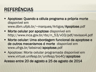 REFERÊNCIAS 
Apoptose: Quando a célula programa a própria morte disponível em www.dbm.ufpb.br/~marques/Artigos/Apoptose.pdf 
Morte celular por apoptose disponível em http://www.inca.gov.br/rbc/n_53/v03/pdf/revisao4.pdf 
Morte celular: Uma abordagem funcional da apoptose e de outros mecanismos d morte disponível em www.ufrgs.br/labsinal/apoptose.pdf 
Apoptose: Morte celular programada disponível em www.virtual.unifesp.br/unifesp/bio40/apoptose 
Acesso entre 20 de agosto a 25 de agosto de 2014 
