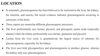 LOCATION
● In mammals, gluconeogenesis has been believed to be restricted to the liver, the kidney,
the intestine, and muscle, but recent evidence indicates gluconeogenesis occurring in
astrocytes of the brain.
● These organs use somewhat different gluconeogenic precursors.
● The liver preferentially uses lactate, glycerol, and glucogenic amino acids (especially
alanine) while the kidney preferentially uses lactate, glutamine and glycerol.
● Lactate from the Cori cycle is quantitatively the largest source of substrate for
gluconeogenesis, especially for the kidney.
● The liver uses both glycogenolysis and gluconeogenesis to produce glucose, whereas
the kidney only uses gluconeogenesis.
 