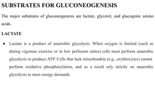 SUBSTRATES FOR GLUCONEOGENESIS
The major substrates of gluconeogenesis are lactate, glycerol, and glucogenic amino
acids.
LACTATE
● Lactate is a product of anaerobic glycolysis. When oxygen is limited (such as
during vigorous exercise or in low perfusion states) cells must perform anaerobic
glycolysis to produce ATP. Cells that lack mitochondria (e.g., erythrocytes) cannot
perform oxidative phosphorylation, and as a result rely strictly on anaerobic
glycolysis to meet energy demands.
 