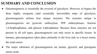 SUMMARY AND CONCLUSION
● Gluconeogenesis is essentially the reversal of glycolysis. However, to bypass the
three highly exergonic (and essentially irreversible) steps of glycolysis,
gluconeogenesis utilizes four unique enzymes. The enzymes unique to
gluconeogenesis are pyruvate carboxylase, PEP carboxykinase, fructose
1,6-bisphosphatase, and glucose 6-phosphatase. Because these enzymes are not
present in all cell types, gluconeogenesis can only occur in specific tissues. In
humans, gluconeogenesis takes place primarily in the liver and, to a lesser extent,
the renal cortex.
● The major substrates of gluconeogenesis are lactate, glycerol, and glucogenic
amino acids.
 