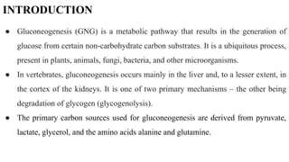 INTRODUCTION
● Gluconeogenesis (GNG) is a metabolic pathway that results in the generation of
glucose from certain non-carbohydrate carbon substrates. It is a ubiquitous process,
present in plants, animals, fungi, bacteria, and other microorganisms.
● In vertebrates, gluconeogenesis occurs mainly in the liver and, to a lesser extent, in
the cortex of the kidneys. It is one of two primary mechanisms – the other being
degradation of glycogen (glycogenolysis).
● The primary carbon sources used for gluconeogenesis are derived from pyruvate,
lactate, glycerol, and the amino acids alanine and glutamine.
 