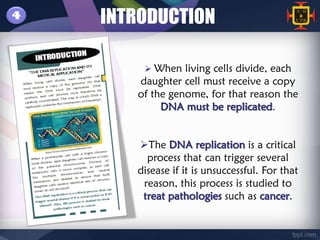 4   INTRODUCTION

         When living cells divide, each
       daughter cell must receive a copy
       of the genome, for that reason the
            DNA must be replicated.


       The DNA replication is a critical
         process that can trigger several
       disease if it is unsuccessful. For that
        reason, this process is studied to
        treat pathologies such as cancer.
 