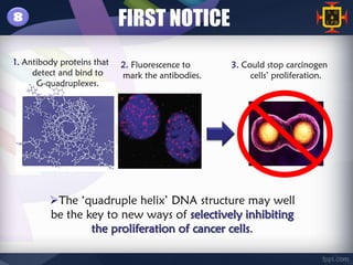 8                           FIRST NOTICE
1. Antibody proteins that   2. Fluorescence to     3. Could stop carcinogen
     detect and bind to     mark the antibodies.        cells’ proliferation.
      G-quadruplexes.




         The ‘quadruple helix’ DNA structure may well
         be the key to new ways of selectively inhibiting
                 the proliferation of cancer cells.
 