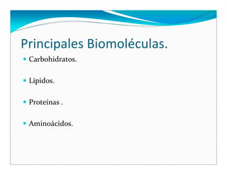 Biomoleculas
