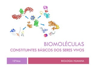 BIOMOLÉCULAS
CONSTITUINTES BÁSICOS DOS SERES VIVOS

 10ºAno                  BIOLOGIA HUMANA
 