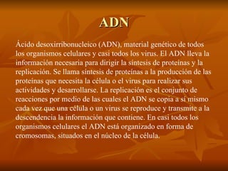 ADN Ácido desoxirribonucleico (ADN), material genético de todos los organismos celulares y casi todos los virus. El ADN lleva la información necesaria para dirigir la síntesis de proteínas y la replicación. Se llama síntesis de proteínas a la producción de las proteínas que necesita la célula o el virus para realizar sus actividades y desarrollarse. La replicación es el conjunto de reacciones por medio de las cuales el ADN se copia a sí mismo cada vez que una célula o un virus se reproduce y transmite a la descendencia la información que contiene. En casi todos los organismos celulares el ADN está organizado en forma de cromosomas, situados en el núcleo de la célula. 