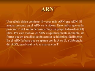 ARN Una célula típica contiene 10 veces más ARN que ADN. El azúcar presente en el ARN es la ribosa. Esto indica que en la posición 2' del anillo del azúcar hay un grupo hidroxilo (OH) libre. Por este motivo, el ARN es químicamente inestable, de forma que en una disolución acuosa se hidroliza fácilmente. En el ARN la base que se aparea con la A es U, a diferencia del ADN, en el cual la A se aparea con T.  