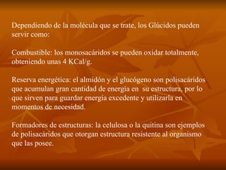 Dependiendo de la molécula que se trate, los Glúcidos pueden servir como: Combustible: los monosacáridos se pueden oxidar totalmente, obteniendo unas 4 KCal/g. Reserva energética: el almidón y el glucógeno son polisacáridos que acumulan gran cantidad de energía en  su estructura, por lo que sirven para guardar energía excedente y utilizarla en momentos de necesidad. Formadores de estructuras: la celulosa o la quitina son ejemplos de polisacáridos que otorgan estructura resistente al organismo que las posee. 