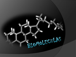 biomoleculas 