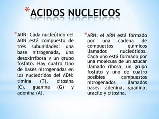 ACIDOS NUCLEICOSADN: Cada nucleótido del ADN está compuesto de tres subunidades: una base nitrogenada, una desoxirribosa y un grupo fosfato. Hay cuatro tipo de bases nitrogenadas en los nucleótidos del ADN: timina (T), citosina (C), guanina (G) y adenina (A).ARN:el ARN está formado por una cadena de compuestos químicos llamados nucleótidos. Cada uno está formado por una molécula de un azúcar llamado ribosa, un grupo fosfato y uno de cuatro posibles compuestos nitrogenados llamados bases: adenina, guanina, uracilo y citosina.
