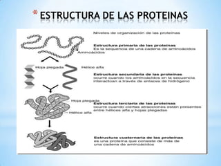 ESTRUCTURA DE LAS PROTEINAS 