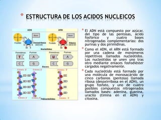ESTRUCTURA DE LOS ACIDOS NUCLEICOSEl ADN está compuesto por azúcar, del tipo de las pentosas, ácido fosfórico y cuatro bases nitrogenadas complementarias: dos purinas y dos pirimidinas.Como el ADN, el ARN está formado por una cadena de monómeros repetitivos llamados nucleótidos. Los nucleótidos se unen uno tras otro mediante enlaces fosfodiéster cargados negativamente.Cada nucleótido está formado por una molécula de monosacárido de cinco carbonos (pentosa) llamada ribosa (desoxirribosa en el ADN), un grupo fosfato, y uno de cuatro posibles compuestos nitrogenados llamados bases: adenina, guanina, uracilo (timina en el ADN) y citosina.