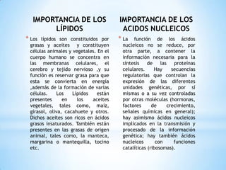 IMPORTANCIA DE LOS LÍPIDOSLos lípidos son constituidos por grasas y aceites  y constituyen células animales y vegetales. En el cuerpo humano se concentra en las membranas celulares, el cerebro y tejido nervioso ,y su función es reservar grasa para que esta se convierta en energía ,además de la formación de varias células. Los Lípidos están presentes en los aceites vegetales, tales como, maíz, girasol, oliva, cacahuete y otros. Dichos aceites son ricos en ácidos grasos insaturados. También están presentes en las grasas de origen animal, tales como, la manteca, margarina o mantequilla, tocino etc.IMPORTANCIA DE LOS ACIDOS NUCLEICOSLa función de los ácidos nucleicos no se reduce, por otra parte, a contener la información necesaria para la síntesis de las proteínas celulares. Hay secuencias regulatorias que controlan la expresión de las diferentes unidades genéticas, por sí mismas o a su vez controladas por otras moléculas (hormonas, factores de crecimiento, señales químicas en general); hay asimismo ácidos nucleicos implicados en la transmisión y procesado de la información genética; hay también ácidos nucleicos con funciones catalíticas (ribosomas). 