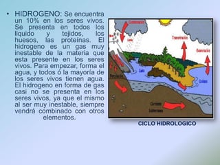 HIDROGENO: Se encuentra un 10% en los seres vivos. Se presenta en todos los liquido y tejidos, los huesos, las proteínas. El hidrogeno es un gas muy inestable de la materia que esta presente en los seres vivos. Para empezar, forma el agua, y todos ó la mayoría de los seres vivos tienen agua. El hidrogeno en forma de gas casi no se presenta en los seres vivos, ya que el mismo al ser muy inestable, siempre vendrá combinado con otros elementos.CICLO HIDROLOGICO