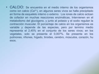 CALCIO: Se encuentra en el medio interno de los organismos como ion calcio (Ca2+), en algunos seres vivos se halla precipitado en forma de esqueleto interno o externo.  Los iones de calcio actúan de cofactor en muchas reacciones enzimáticas, Intervienen en el metabolismo del glucógeno, y junto al potasio y el sodio regulan la contracción muscular. El porcentaje de calcio en los organismos es variable y depende de las especies, pero por termino medio representa el 2,45% en el conjunto de los seres vivos; en los vegetales, solo se presenta el 0,007%. Se presenta en los pulmones, riñones, hígado, tiroides, cerebro, músculos, corazón, huesos.