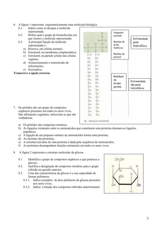 6. A figura 1 representa esquematicamente uma molécula biológica.
   6.1.    Indica como se designa a molécula
           representada.                                                        Composto
   6.2.    Refere qual o grupo de biomoléculas em                               azotado
           que inseres a molécula representada.                                                Extremidade
   6.3.    A principal função da molécula                                       Resíduo de     polar
           representada é :                                                     ácido
                                                                                               hidrofílica
                                                                                fosfórico
        a) Reserva, em células animais;
        b) Estrutural, na membrana citoplasmática;                              Resíduo de
        c) Estrutural, na parede celular das células                            glicerol
           vegetais;
        d) Armazenamento e transmissão de
           informações;
        e) Enzimática.
Transcreve a opção correcta
                                                                                Resíduos
                                                                                de
                                                                                             Extremidade
                                                                                ácidos
                                                                                             não polar
                                                                                gordos
                                                                                             hidrofóbica




7. Os prótidos são um grupo de compostos
   orgânicos presentes em todos os seres vivos.
   Das afirmações seguintes, selecciona as que são
   verdadeiras.

     a) Os prótidos são compostos ternários,
     b) As ligações existentes entre os aminoácidos que constituem uma proteína chamam-se ligações
        peptídicas;
     c) A ligação de um pequeno número de aminoácidos forma uma proteína;
     d) As enzimas são proteínas;
     e) A estrutura terciária de uma proteína é dada pela sequência de aminoácidos;
     f) As proteínas desempenham funções estruturais em todos os seres vivos.

8.   A figura 2 representa a estrutura molecular da glicose.

     8.1.     Identifica o grupo de compostos orgânicos a que pertence a
              glicose;
     8.2.     Justifica a designação de compostos ternários para o grupo
              referido na questão anterior;
     8.3.     Uma das características da glicose é a sua capacidade de
              formar polímeros.
          8.3.1. Indica exemplos de dois polímeros de glicose presentes
                  nos seres vivos;
          8.3.2. Indica a função dos compostos referidos anteriormente.




                                                                                                             2
 