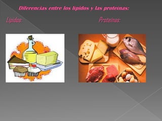 Lípidos:   Proteínas:
 
