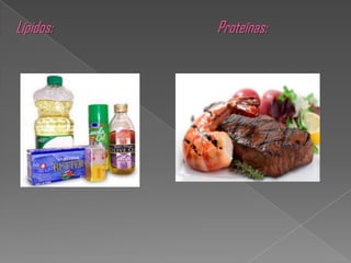 Lípidos:   Proteínas:
 
