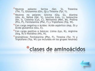 * Neutros      polares:    Serina   (Ser,   S),     Treonina
  (Thr, T), Glutamina (Gln, Q) y Tirosina (Tyr, Y).
* Neutros no polares: Glicina (Gly, G), Alanina
  (Ala, A), Valina (Val, V), Leucina (Leu, L), Isoleucina
  (Ile, I), Cisteína (Cys, C), Metionina (Met, M), Prolina
  (Pro, P), Fenilalanina (Phe, F) y Triptófano (Trp, W).
* Con carga negativa o ácidos: Ácido aspártico (Asp, D) y
  Ácido glutámico (Glu, E).
* Con carga positiva o básicos: Lisina (Lys, K), Arginina
  (Arg, R) e Histidina (His, H).
* Aromáticos: Fenilalanina (Phe, F), Tirosina (Tyr, Y) y
  Triptófano (Trp, W) (ya incluidos en los grupos neutros)



            *
 