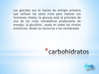 Los glúcidos son la fuente de energía primaria
que utilizan los seres vivos para realizar sus
funciones vitales; la glucosa está al principio de
una de las rutas metabólicas productoras de
energía, la glucólisis, usada en todos los niveles
evolutivos, desde las bacterias a los vertebrados




                       *
 
