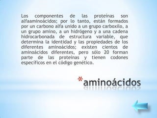 Los componentes de las proteínas son
alfaaminoácidos; por lo tanto, están formados
por un carbono alfa unido a un grupo carboxilo, a
un grupo amino, a un hidrógeno y a una cadena
hidrocarbonada de estructura variable, que
determina la identidad y las propiedades de los
diferentes aminoácidos; existen cientos de
aminoácidos diferentes, pero sólo 20 forman
parte de las proteínas y tienen codones
específicos en el código genético.



                         *
 