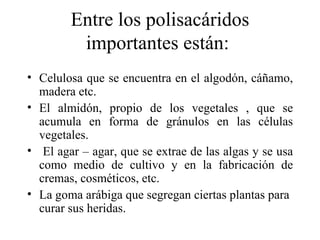 Entre los polisacáridos
         importantes están:
• Celulosa que se encuentra en el algodón, cáñamo,
  madera etc.
• El almidón, propio de los vegetales , que se
  acumula en forma de gránulos en las células
  vegetales.
• El agar – agar, que se extrae de las algas y se usa
  como medio de cultivo y en la fabricación de
  cremas, cosméticos, etc.
• La goma arábiga que segregan ciertas plantas para
  curar sus heridas.
 