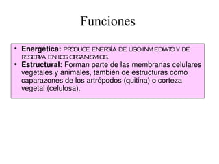 Funciones
• Energética: pr duc ener de uso inmediat y de
                 o e       gía                  o
  reser en l or
       va     os ganismos.
• Estructural: Forman parte de las membranas celulares 
  vegetales y animales, también de estructuras como 
  caparazones de los artrópodos (quitina) o corteza 
  vegetal (celulosa). 
 