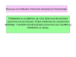 Regul imporant pr esos f ógic (hormonas).
    an     t es oc     isiol os


   Posibil an l oc r ia de c t
         it a urenc           asi odas l r c
                                       as eac iones
  químic en l c ul Est pr eínas se denominan
        as     as él as.    as ot
enzimas, y f il an l r c
            ac it as eac iones químic que oc r al
                                       as      ur en
                   int iorde l c ul
                      er     a él a.
 