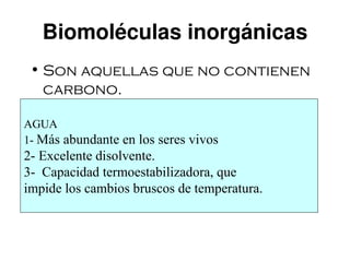 Biomoléculas inorgánicas
 • Son aquellas que no contienen
   carbono.

AGUA
1- Más abundante en los seres vivos
2- Excelente disolvente.
3- Capacidad termoestabilizadora, que
impide los cambios bruscos de temperatura.
 