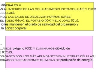 minerales =
án al interior de las células (medio intracelular) y fuera
 celular).
ando las sales se disuelven forman iones,
 el sodio (Na+), el potasio (K+) y el cloro (Cl-).
s iones mantienen el grado de salinidad del organismo y
n la acidez corporal.




 =
alamos oxígeno (O2) y eliminamos dióxido de
o (CO2).
os gases son los más abundantes en nuestras células, y
ucrados en reacciones químicas de producción de energía.
 