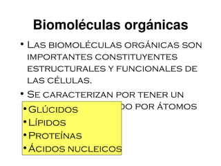 Biomoléculas orgánicas
• Las biomoléculas orgánicas son
  importantes constituyentes
  estructurales y funcionales de
  las células.
• Se caracterizan por tener un
•esqueleto formado por átomos
  Glúcidos
•de carbono.
  Lípidos
•Proteínas
•Ácidos nucleicos
 