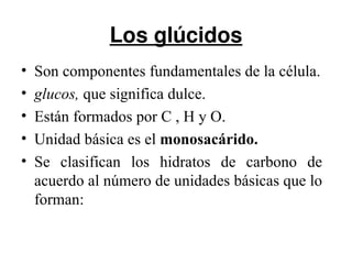 Los glúcidos
•   Son componentes fundamentales de la célula.
•   glucos, que significa dulce.
•   Están formados por C , H y O.
•   Unidad básica es el monosacárido.
•   Se clasifican los hidratos de carbono de
    acuerdo al número de unidades básicas que lo
    forman:
 