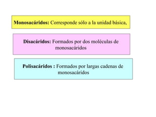 Monosacáridos: Corresponde sólo a la unidad básica,


    Disacáridos: Formados por dos moléculas de
                  monosacáridos


    Polisacáridos : Formados por largas cadenas de
                     monosacáridos
 