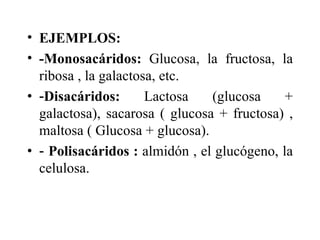 • EJEMPLOS:
• -Monosacáridos: Glucosa, la fructosa, la
  ribosa , la galactosa, etc.
• -Disacáridos:       Lactosa   (glucosa     +
  galactosa), sacarosa ( glucosa + fructosa) ,
  maltosa ( Glucosa + glucosa).
• - Polisacáridos : almidón , el glucógeno, la
  celulosa.
 