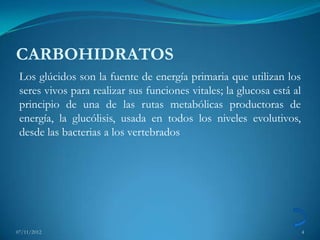 CARBOHIDRATOS
 Los glúcidos son la fuente de energía primaria que utilizan los
 seres vivos para realizar sus funciones vitales; la glucosa está al
 principio de una de las rutas metabólicas productoras de
 energía, la glucólisis, usada en todos los niveles evolutivos,
 desde las bacterias a los vertebrados




07/11/2012                                                             4
 