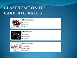 CLASIFICACIÓN DE
CARBOHIDRATOS
             Monosacarido
             • Tetrosas
             • Pentosas
             • Hexosas

             Disacaridos
             • Lactosa
             • Galactosa
             • Sacarosa

             Polisacaridos
             • Almidón
             • Glucógeno
             • Celulosa


07/11/2012                   6
 