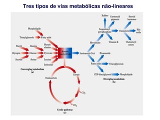 Tres tipos de vias metabólicas não-lineares
 