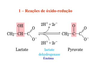 1 – Reações de óxido-redução




            Enzima
 