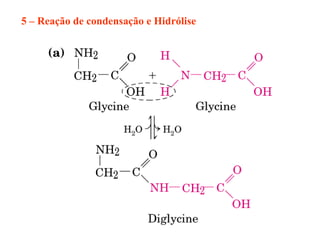 5 – Reação de condensação e Hidrólise
 