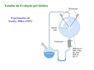 Estudos da Evolução pré-biótica


    Experimentos de
  Stanley Miller (1953)
 