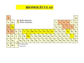 BIOMOLÉCULAS
 