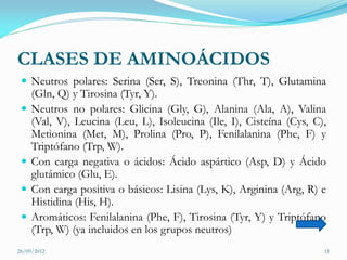 CLASES DE AMINOÁCIDOS
  Neutros polares: Serina (Ser, S), Treonina (Thr, T), Glutamina
     (Gln, Q) y Tirosina (Tyr, Y).
    Neutros no polares: Glicina (Gly, G), Alanina (Ala, A), Valina
     (Val, V), Leucina (Leu, L), Isoleucina (Ile, I), Cisteína (Cys, C),
     Metionina (Met, M), Prolina (Pro, P), Fenilalanina (Phe, F) y
     Triptófano (Trp, W).
    Con carga negativa o ácidos: Ácido aspártico (Asp, D) y Ácido
     glutámico (Glu, E).
    Con carga positiva o básicos: Lisina (Lys, K), Arginina (Arg, R) e
     Histidina (His, H).
    Aromáticos: Fenilalanina (Phe, F), Tirosina (Tyr, Y) y Triptófano
     (Trp, W) (ya incluidos en los grupos neutros)
26/09/2012                                                             11
 