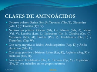 CLASES DE AMINOÁCIDOS
  Neutros polares: Serina (Ser, S), Treonina (Thr, T), Glutamina
     (Gln, Q) y Tirosina (Tyr, Y).
    Neutros no polares: Glicina (Gly, G), Alanina (Ala, A), Valina
     (Val, V), Leucina (Leu, L), Isoleucina (Ile, I), Cisteína (Cys, C),
     Metionina (Met, M), Prolina (Pro, P), Fenilalanina (Phe, F) y
     Triptófano (Trp, W).
    Con carga negativa o ácidos: Ácido aspártico (Asp, D) y Ácido
     glutámico (Glu, E).
    Con carga positiva o básicos: Lisina (Lys, K), Arginina (Arg, R) e
     Histidina (His, H).
    Aromáticos: Fenilalanina (Phe, F), Tirosina (Tyr, Y) y Triptófano
     (Trp, W) (ya incluidos en los grupos neutros)
15/11/2012                            MENU                             11
 