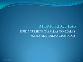 ERIKA YULIETH CASALLAS GONZALEZ
                   MARIA ALEJANDRA GRANADOS




28/09/2012                                     1
 