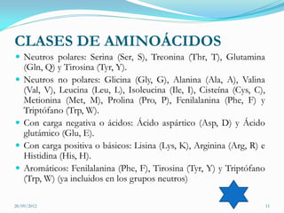 CLASES DE AMINOÁCIDOS
 Neutros polares: Serina (Ser, S), Treonina (Thr, T), Glutamina
    (Gln, Q) y Tirosina (Tyr, Y).
   Neutros no polares: Glicina (Gly, G), Alanina (Ala, A), Valina
    (Val, V), Leucina (Leu, L), Isoleucina (Ile, I), Cisteína (Cys, C),
    Metionina (Met, M), Prolina (Pro, P), Fenilalanina (Phe, F) y
    Triptófano (Trp, W).
   Con carga negativa o ácidos: Ácido aspártico (Asp, D) y Ácido
    glutámico (Glu, E).
   Con carga positiva o básicos: Lisina (Lys, K), Arginina (Arg, R) e
    Histidina (His, H).
   Aromáticos: Fenilalanina (Phe, F), Tirosina (Tyr, Y) y Triptófano
    (Trp, W) (ya incluidos en los grupos neutros)

28/09/2012                                                                11
 