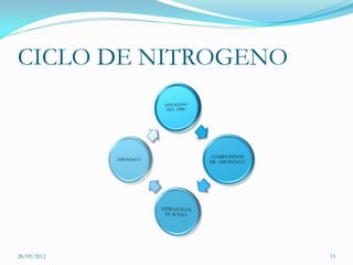 CICLO DE NITROGENO




28/09/2012           13
 