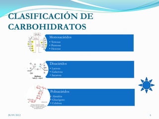 CLASIFICACIÓN DE
CARBOHIDRATOS
             Monosacáridos
             • Tetrosas
             • Pentosas
             • Hexosas




             Disacáridos
             • Lactosa
             • Galactosa
             • Sacarosa




             Polisacáridos
             • Almidón
             • Glucógeno
             • Celulosa



28/09/2012                   6
 
