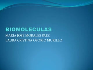 MARIA JOSE MORALES PAEZ
LAURA CRISTINA OSORIO MURILLO
 