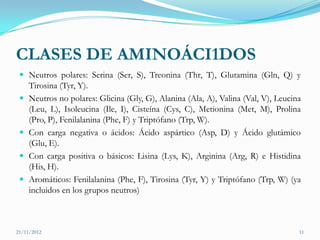 CLASES DE AMINOÁCI1DOS
  Neutros polares: Serina (Ser, S), Treonina (Thr, T), Glutamina (Gln, Q) y
     Tirosina (Tyr, Y).
    Neutros no polares: Glicina (Gly, G), Alanina (Ala, A), Valina (Val, V), Leucina
     (Leu, L), Isoleucina (Ile, I), Cisteína (Cys, C), Metionina (Met, M), Prolina
     (Pro, P), Fenilalanina (Phe, F) y Triptófano (Trp, W).
    Con carga negativa o ácidos: Ácido aspártico (Asp, D) y Ácido glutámico
     (Glu, E).
    Con carga positiva o básicos: Lisina (Lys, K), Arginina (Arg, R) e Histidina
     (His, H).
    Aromáticos: Fenilalanina (Phe, F), Tirosina (Tyr, Y) y Triptófano (Trp, W) (ya
     incluidos en los grupos neutros)



21/11/2012                                                                          11
 